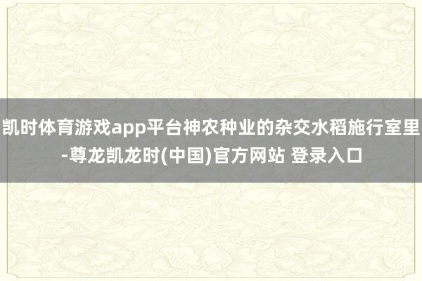 凱時體育遊戲app平台神農種業的雜交水稻施行室裏-尊龍凱龍時(中國)官方網站 登錄入口